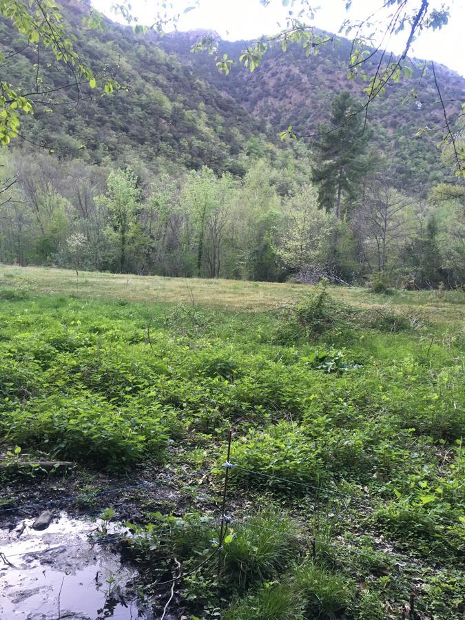 منزل الضيف La Mirabelle-Casteil Country House المظهر الخارجي الصورة