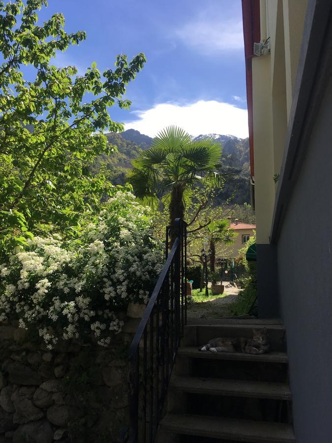 منزل الضيف La Mirabelle-Casteil Country House المظهر الخارجي الصورة