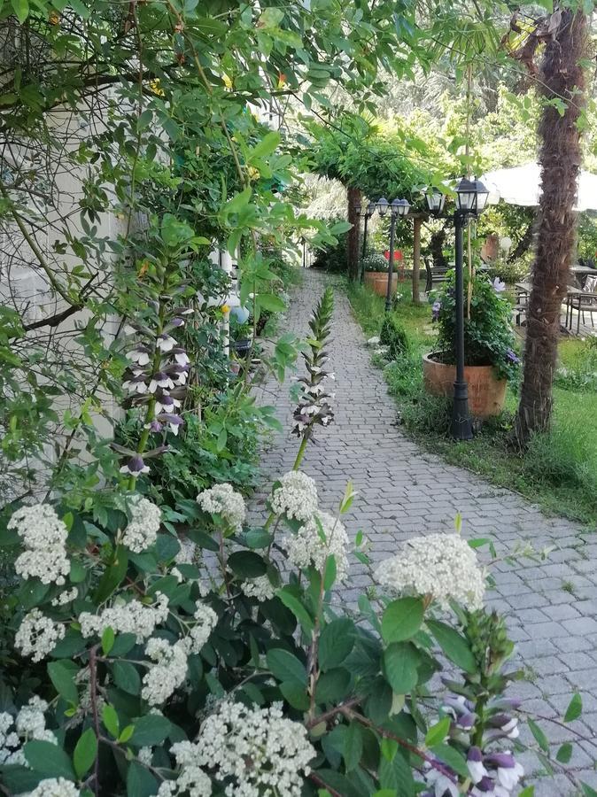 منزل الضيف La Mirabelle-Casteil Country House المظهر الخارجي الصورة