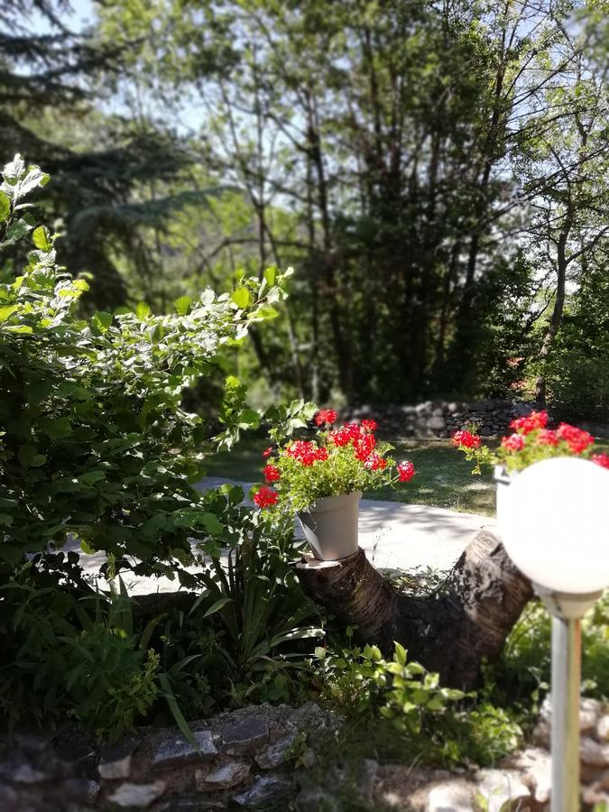 منزل الضيف La Mirabelle-Casteil Country House المظهر الخارجي الصورة