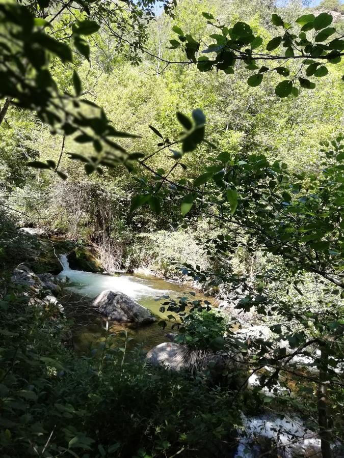 منزل الضيف La Mirabelle-Casteil Country House المظهر الخارجي الصورة
