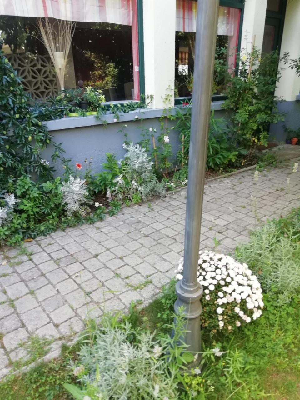 منزل الضيف La Mirabelle-Casteil Country House المظهر الخارجي الصورة